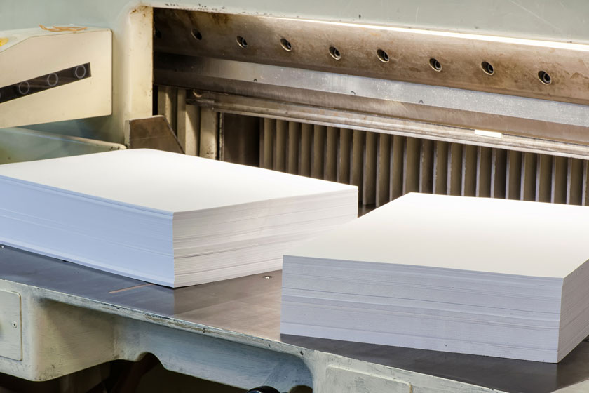 Bunch of Bank Papers